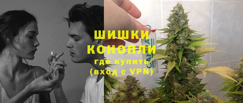 Канабис Bruce Banner  Будённовск 